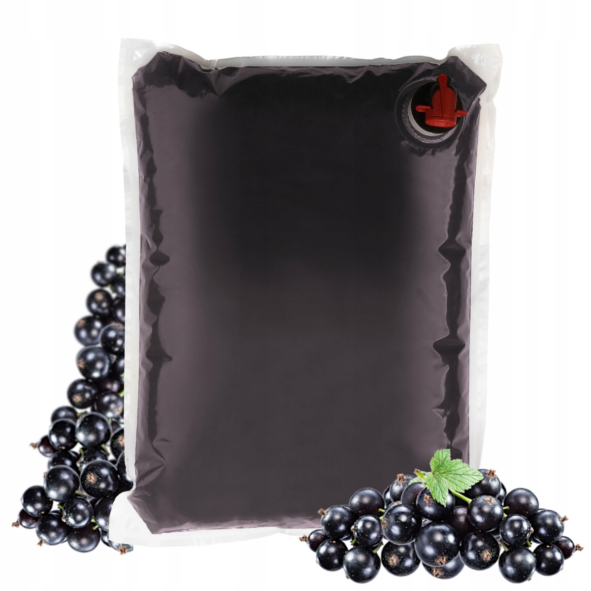 sok czarna porzeczka 100% sok z porzeczki 5L