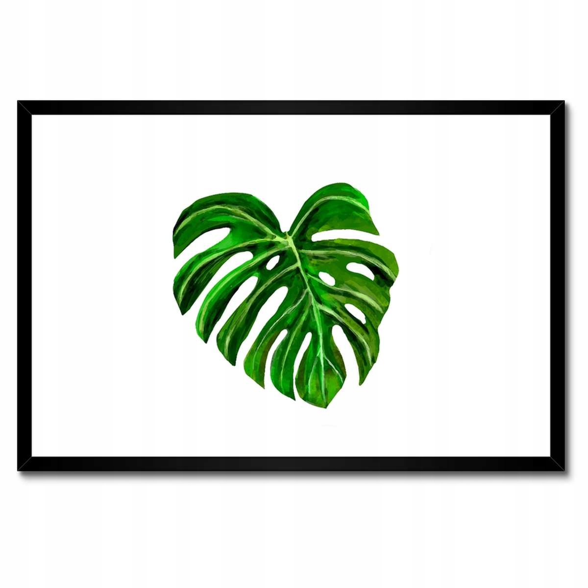 Plakáty v rámu 60x40 List Monsera děravé