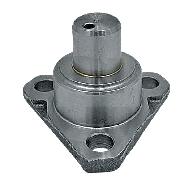 Sworzeń zwrotnicy ZF 81670C1, F198300020440, 83933