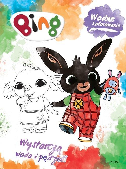 

Bing Wodne kolorowanie Maluj wodą 156-2 Kd