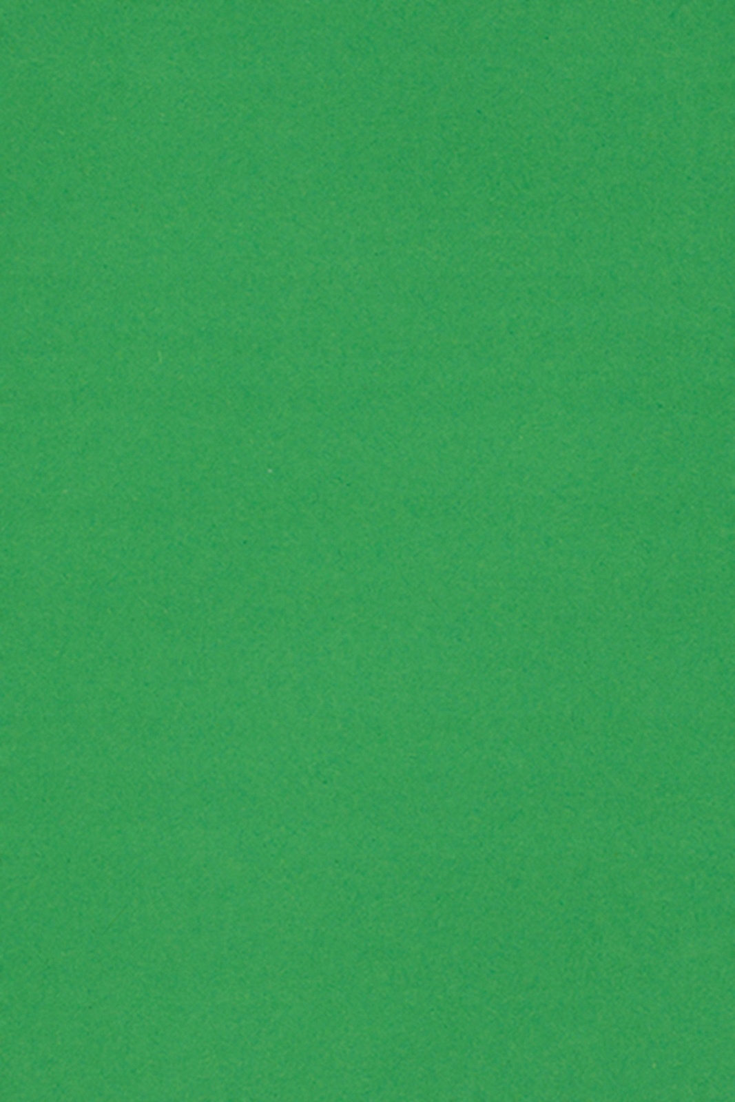 

Papier kolorowy zielony Burano 250g 20 ark A4