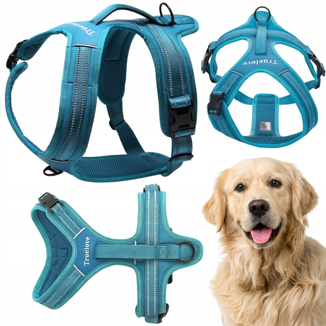 Levně Postroj Pro Psa Easy Walk Pevný S Rukojetí Truelove Security Modrý XL