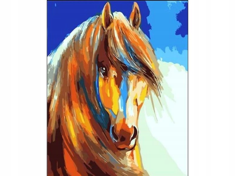Obraz Malování Podle Čísel Rám 40x50cm Kůň V Barvě
