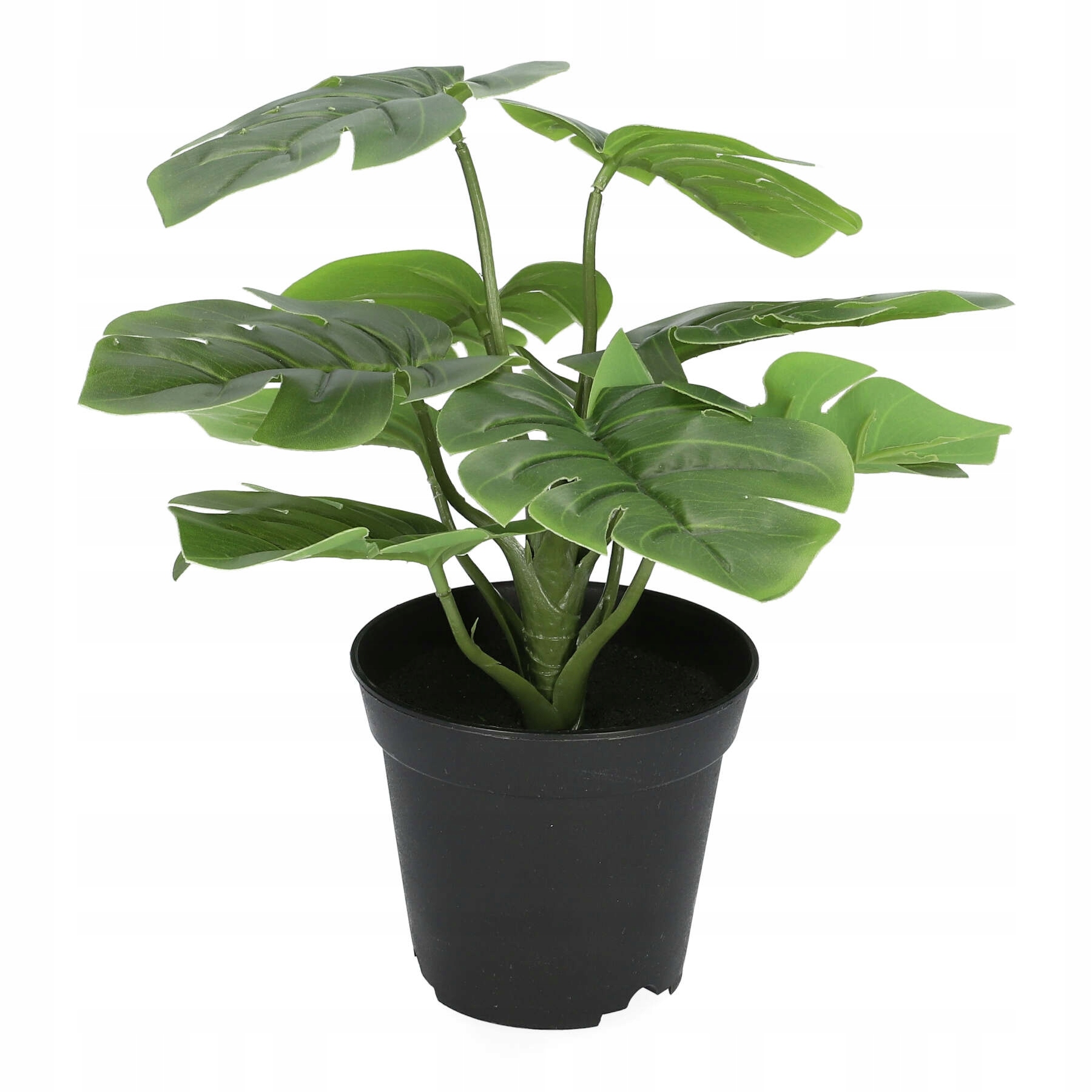 

Sztuczna Roślina Kwiaty Monstera 29 cm Homla