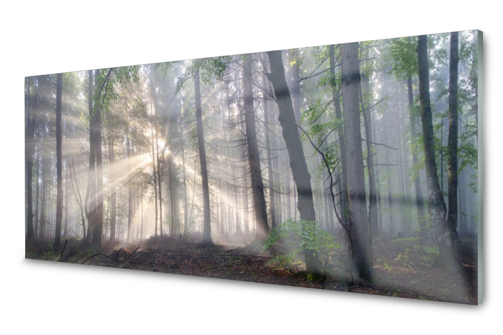 

Panel szklany do kuchni Las 125x50
