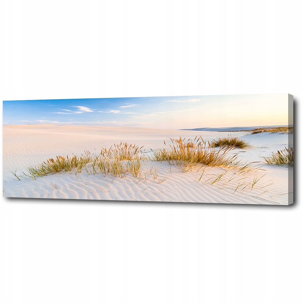 

Obraz foto na płótnie Wydmy Morze 145x45