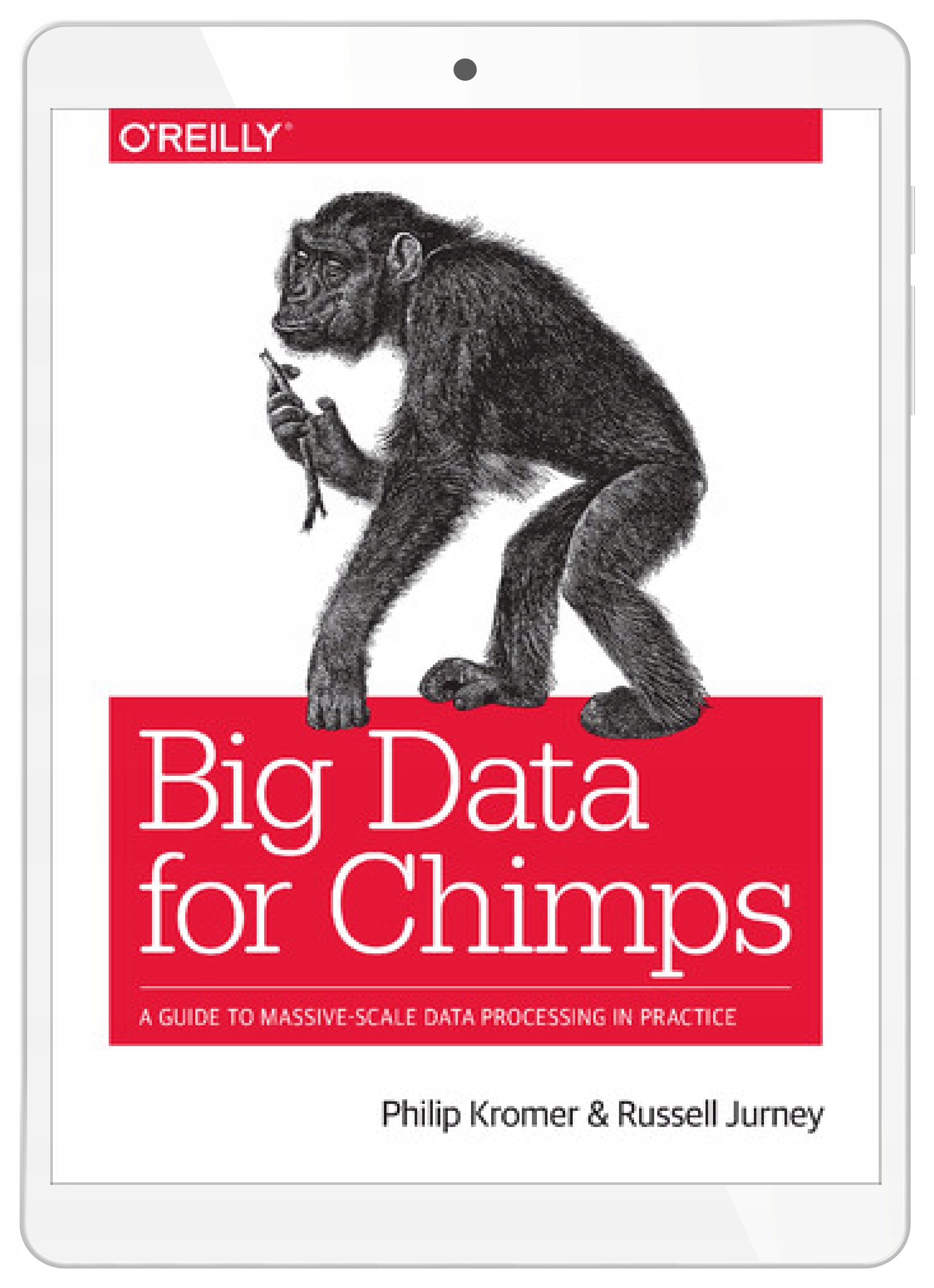 Big Data for Chimps. A Guide to Massive-Scale Data