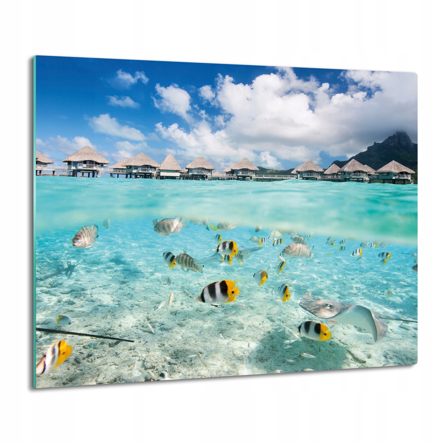 

deska splashback ze szkła Ryby ocean niebo 60x52