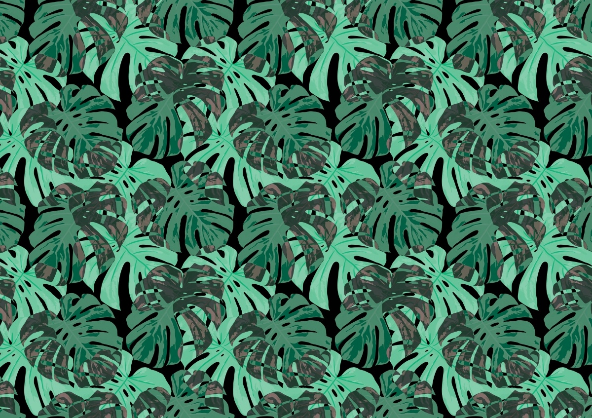 

Fototapeta Flizelinowa Liście Monstera - 312x219
