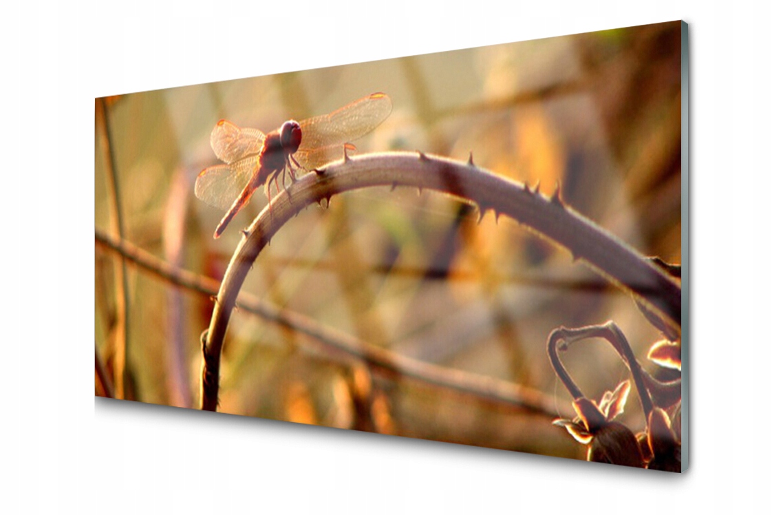 

Panel szklany dekor Ważka Roślina 120x60 + Klej