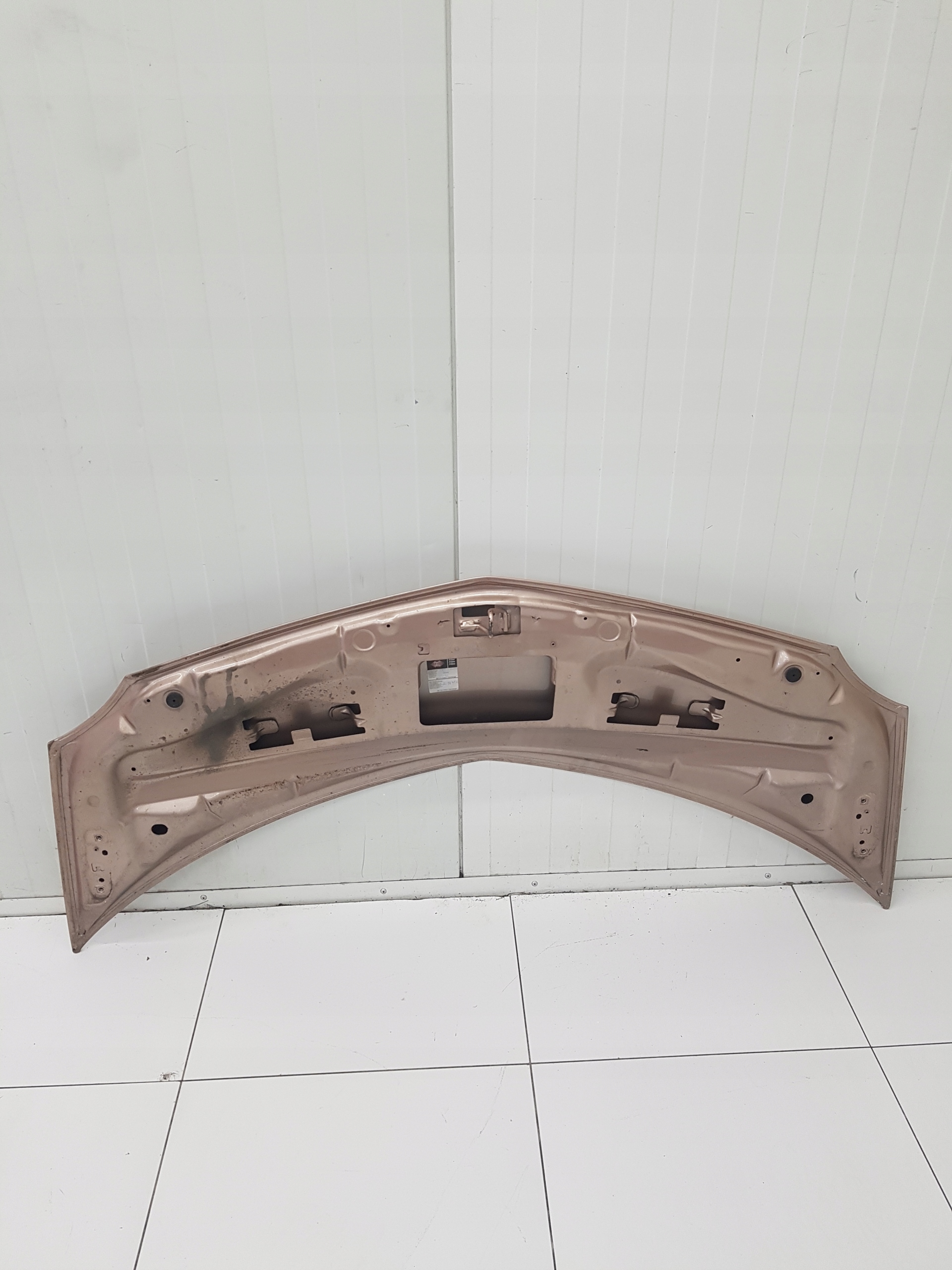 motorhaube RENAULT MODUS