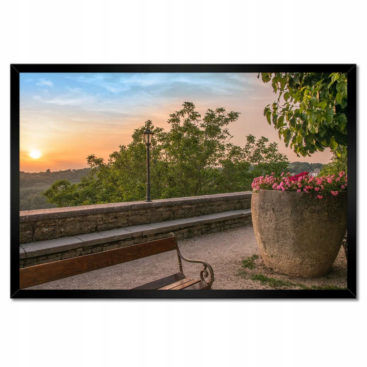 Plakáty v rámu 60x40 Západ slunce Květiny