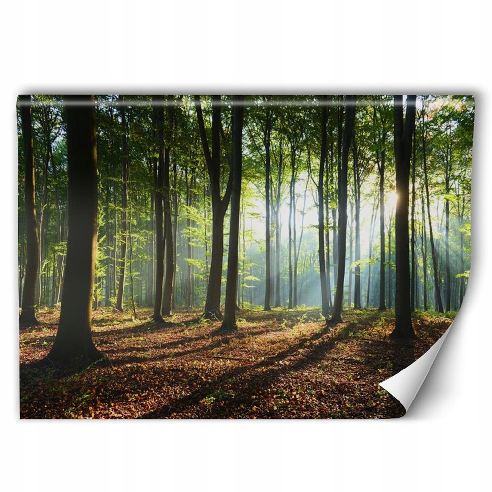 

Fototapeta Krajobraz Do Sypialni Salonu 300x200
