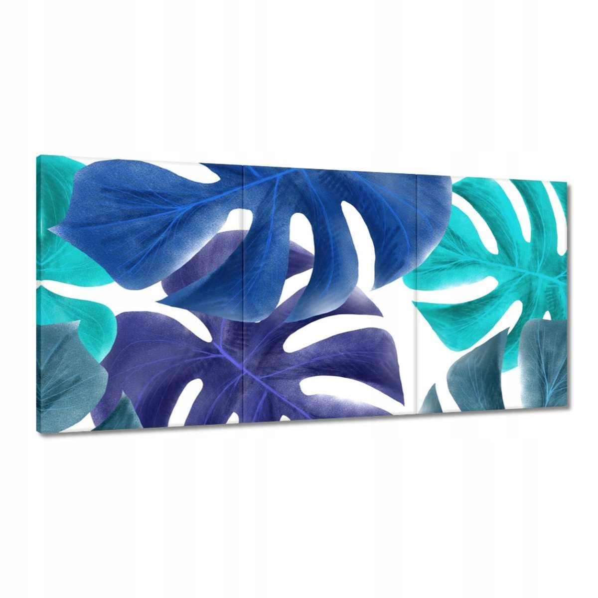 Obrazy 180x90 Monstera Listy Modrá