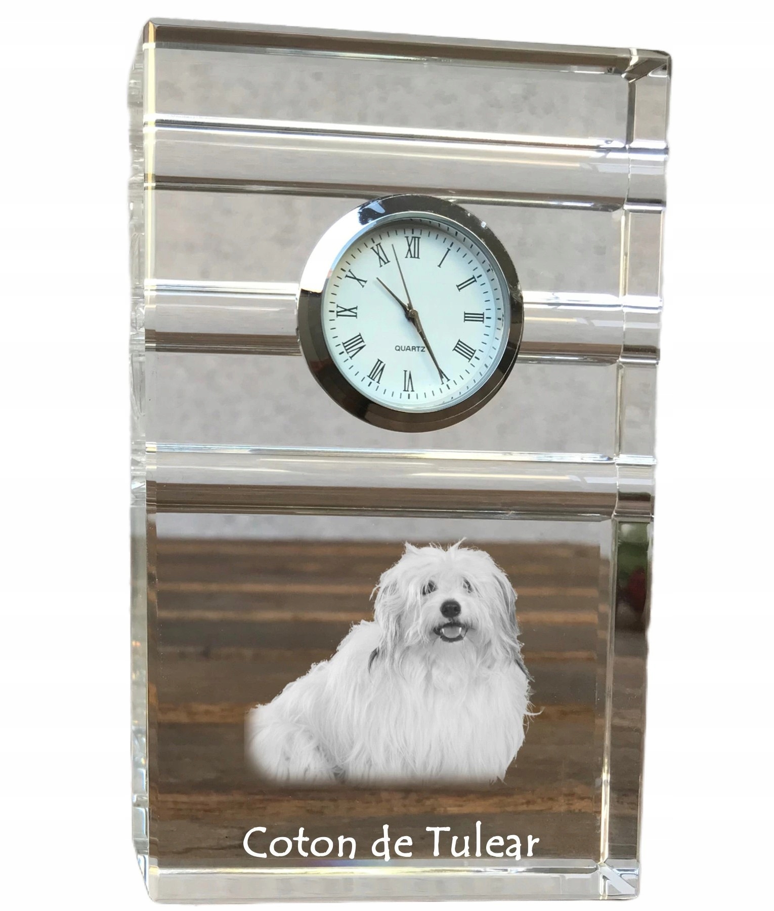 Coton de Tulear krištáľové stolové hodinky so psom, s vašou fotografiou