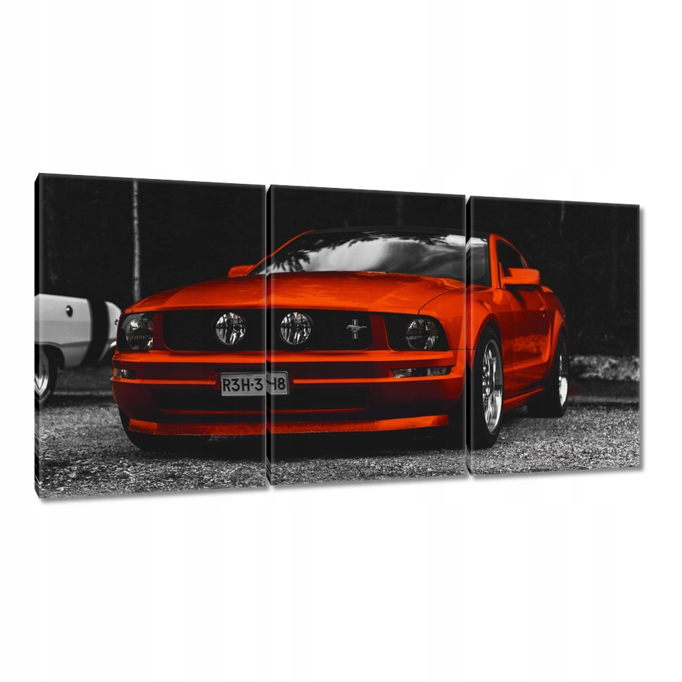 

Obrazy 120x60 Czerwony Ford Mustang