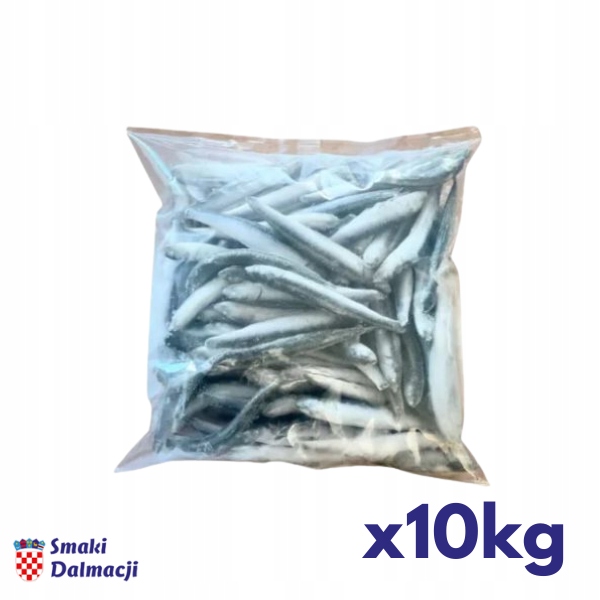 Jadranská sardela zmrazená (Anchovy) 10 kg