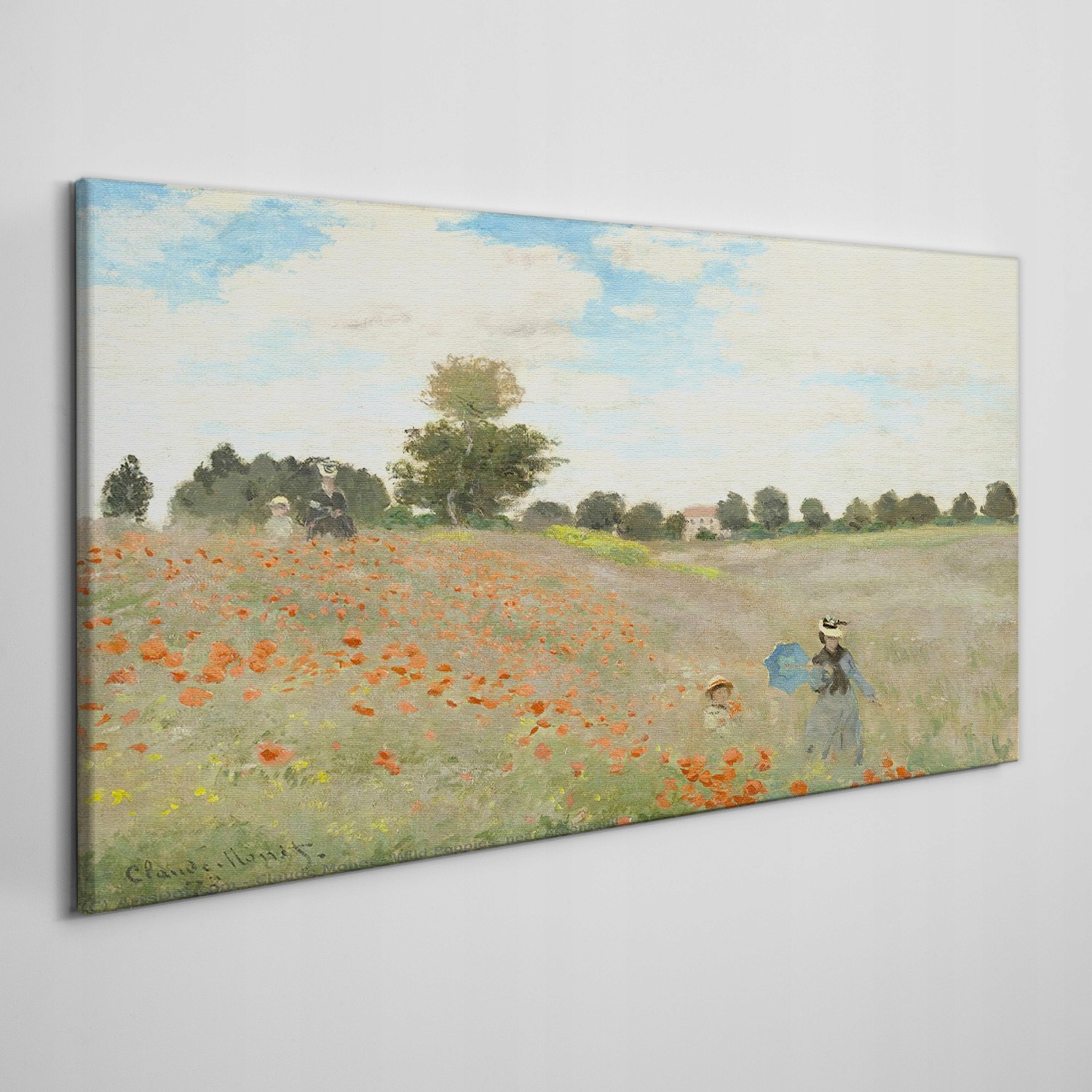 

Nowoczesny obraz na płótnie Maki Monet 100x50 cm
