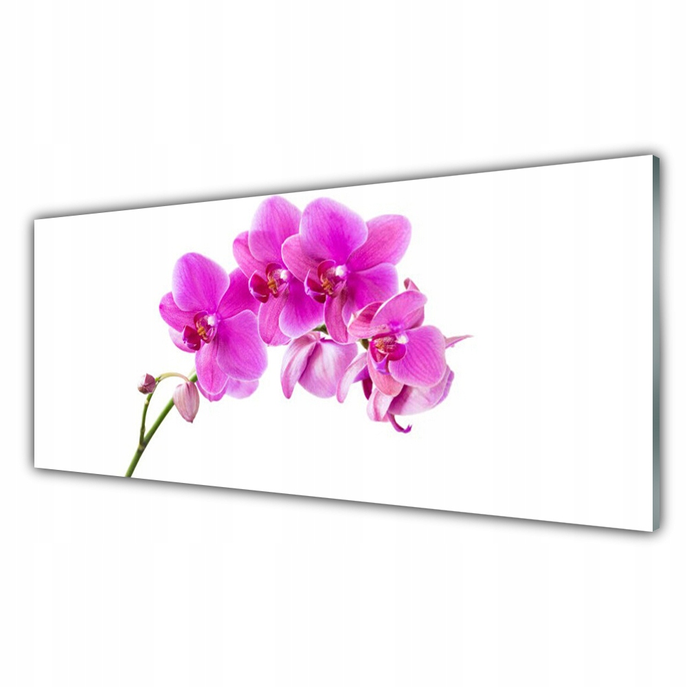 

Obraz akryl ścienny 125x50 Storczyk Kwiat Orchidea