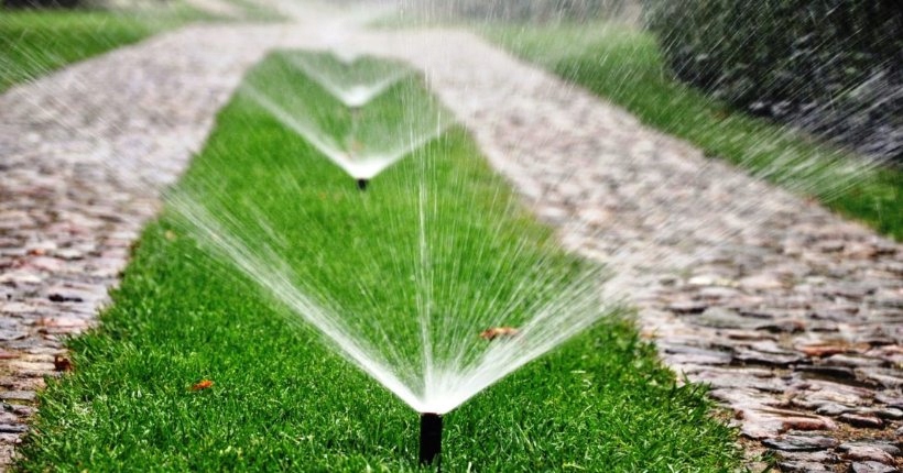 Taśma teflonowa Jumbo Rodzaj inny