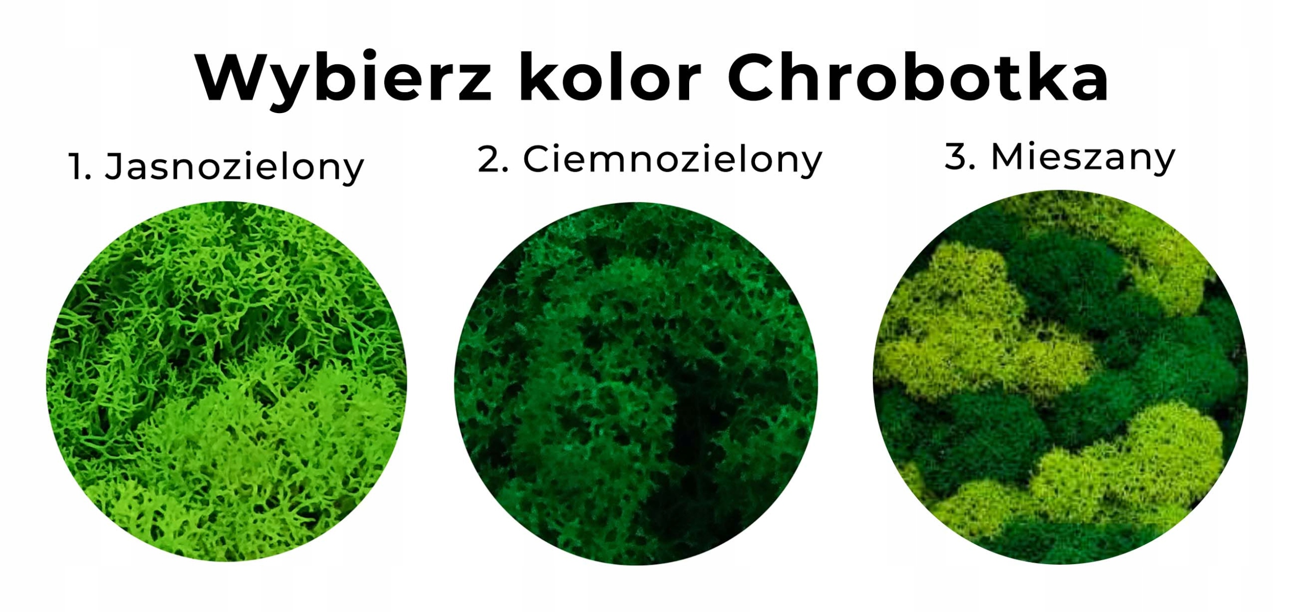 Chrobotek mech dekoracyjny w doniczce 20cm prezent Marka bez marki