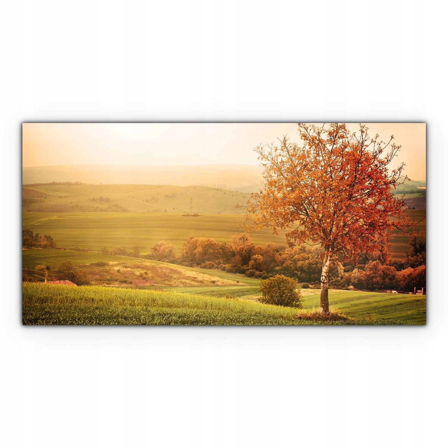 Obraz na plátně do obývacího pokoje 120x60 Stromy Louka Pole