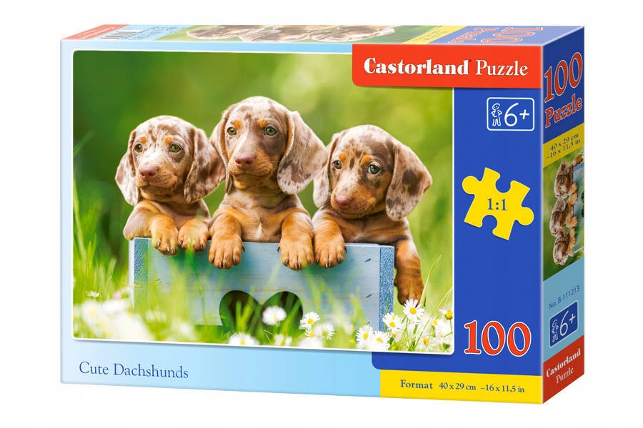 

Puzzle 100-elementów