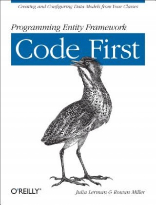 Practical Entity Framework Core 6 - Niska cena na Allegro