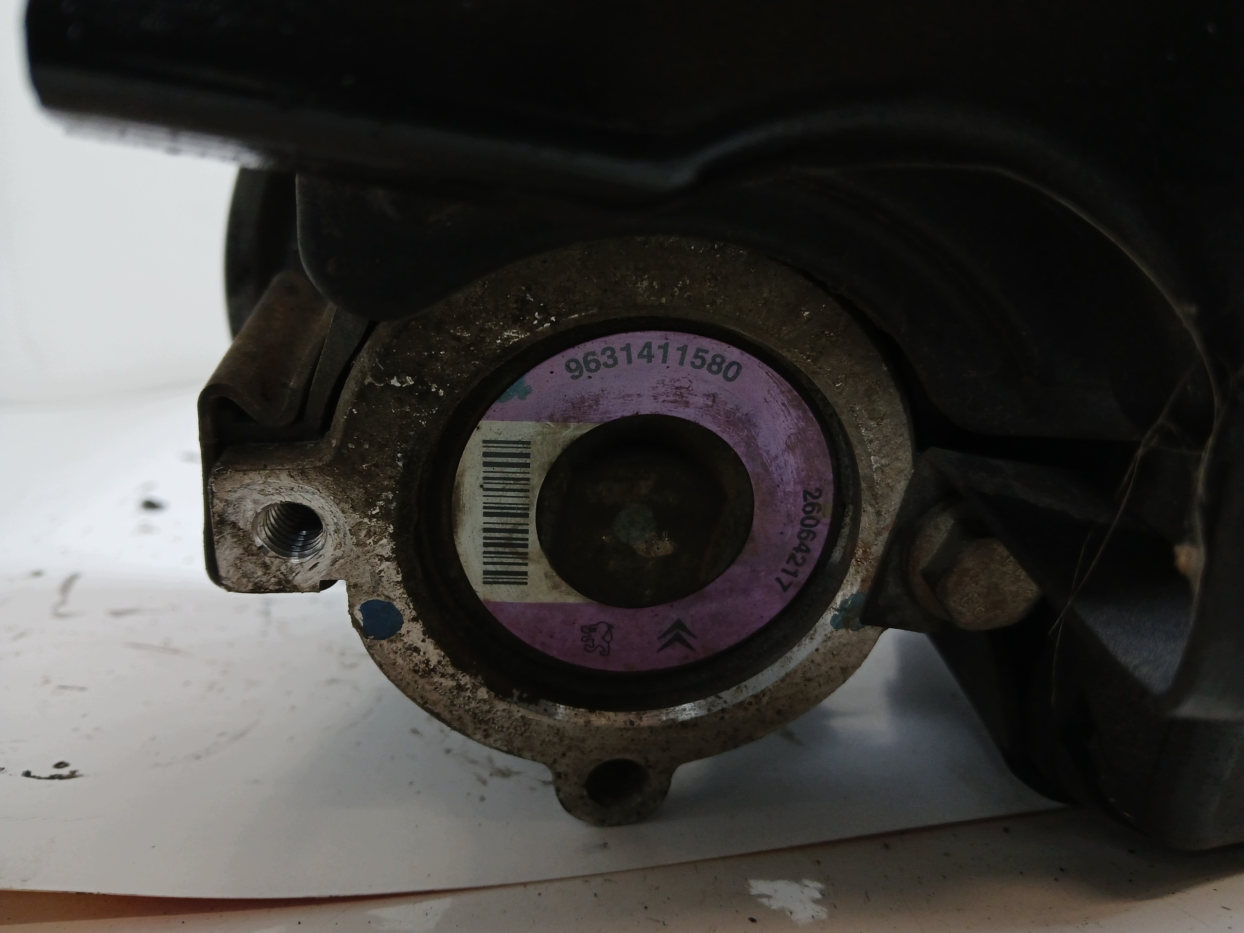 PEUGEOT 206 servo pump 9631411580