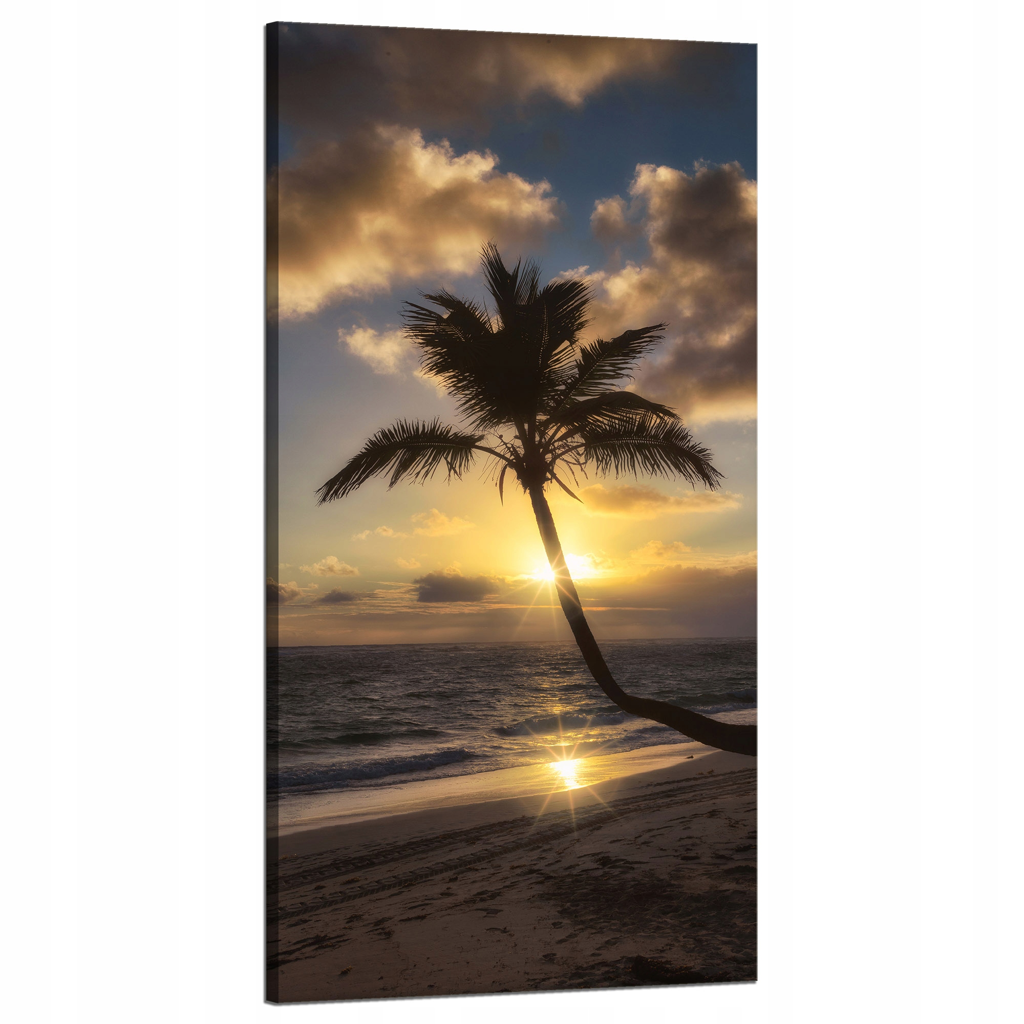 Obraz Canvas Natura Palma západ slunce 60x120 cm