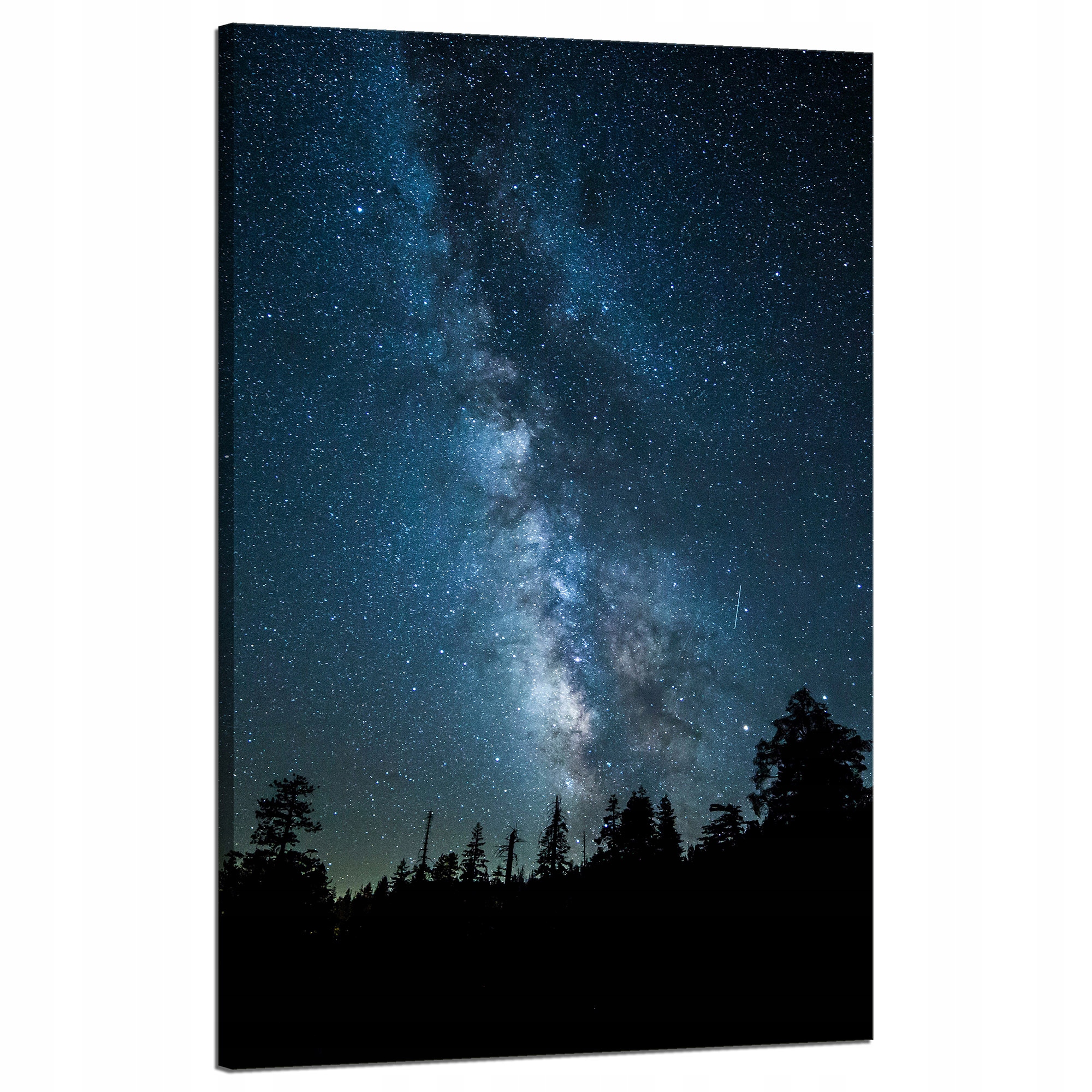 Obraz na plátně Vesmír Noc Les Mlhovina nebe Astronomie 50x80