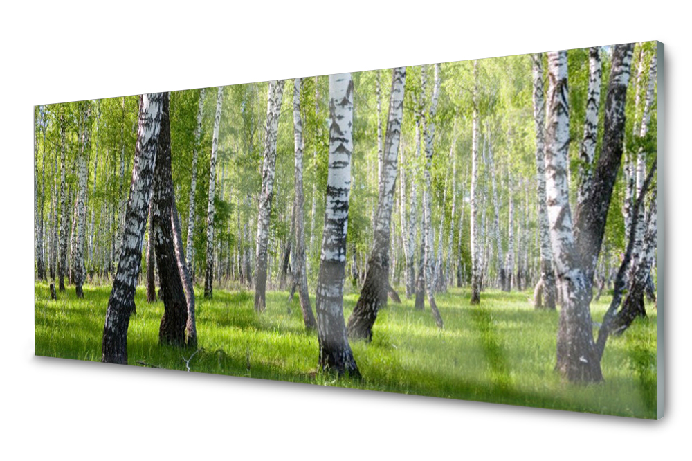 

Panel szklany do kuchni Las 125x50