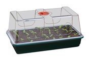 

Mini Szklarnia Propagator Do Roślin 37,5x23xh18cm