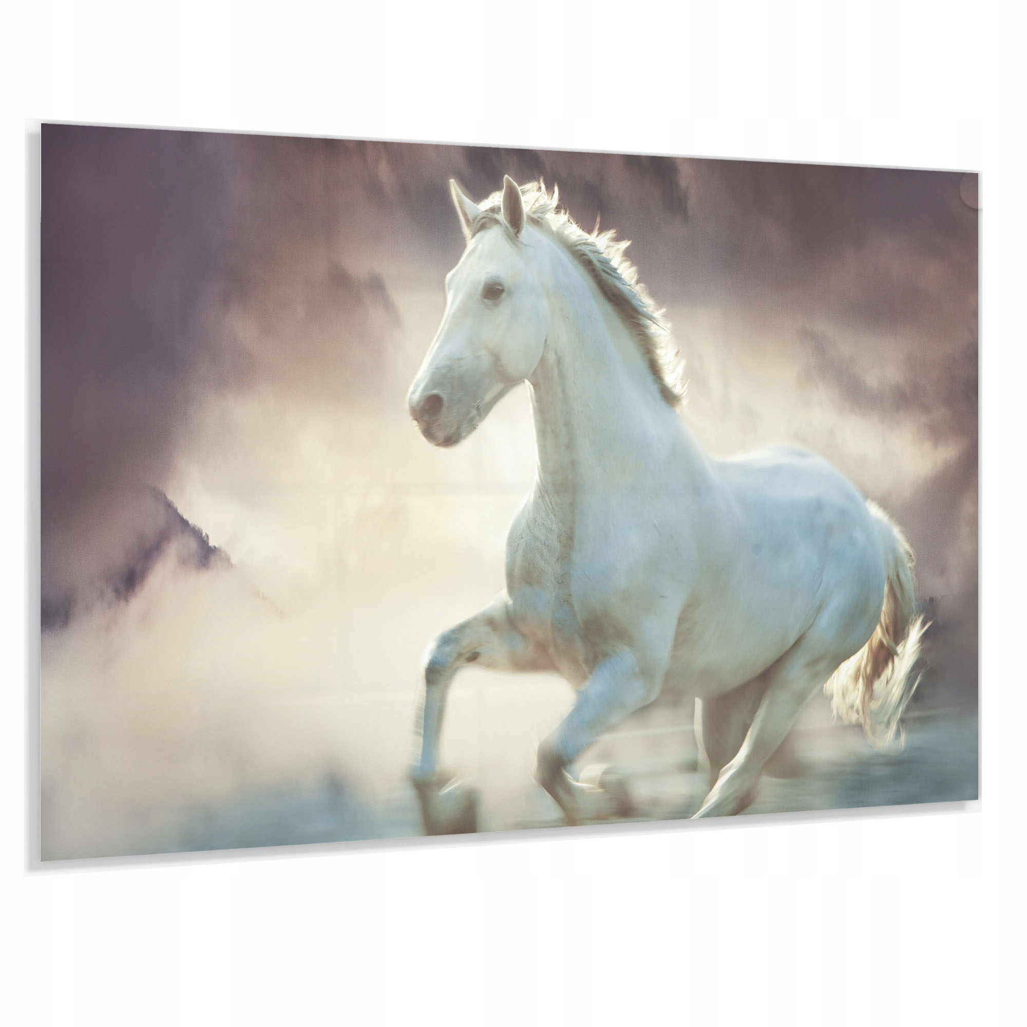 Panel do Kuchni Szkło 80x60 Gratis