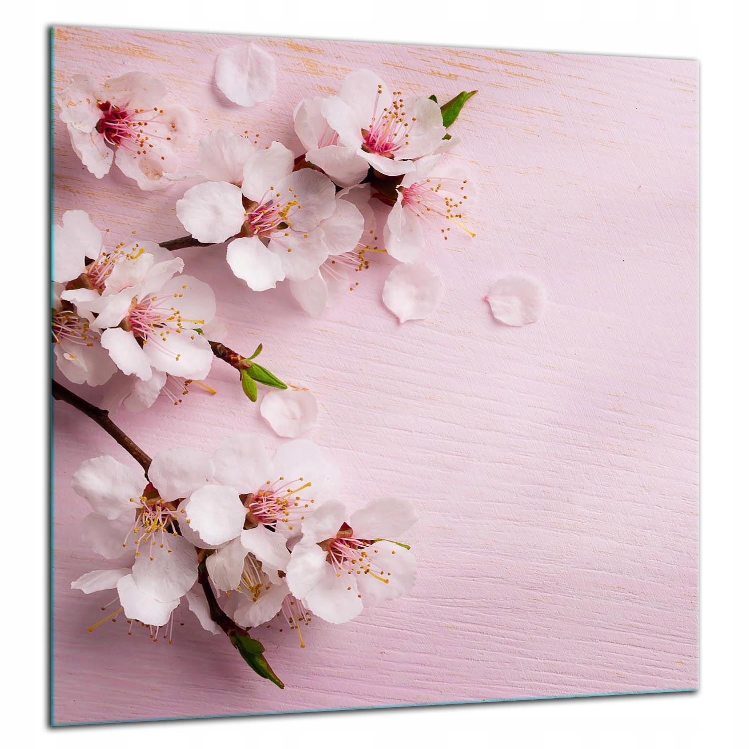 Skleněná Ochranná Deska Panel Lepidlo 60x65 KVĚTINYTvrzené Sklo Kuchyně 7v1
