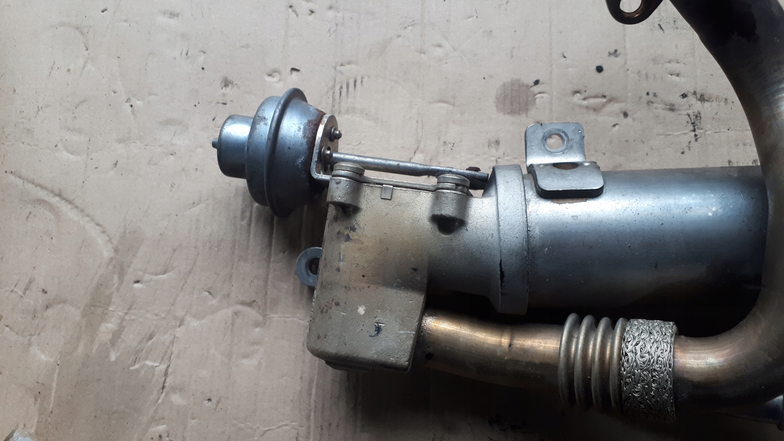 A4 B8 Kühler Gase 2.0 TDI 03L131512 A5 Q5