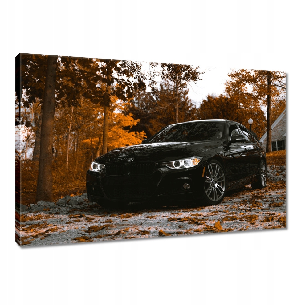 

Obrazy 120x80 Czarne Bmw Jesień