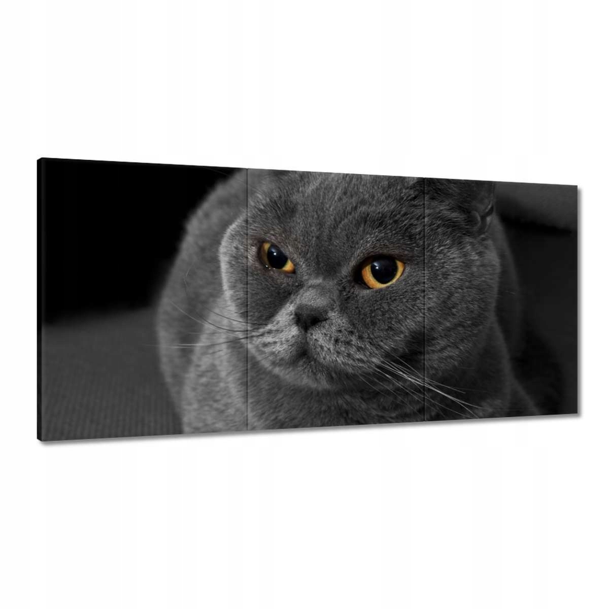 Obrazy 180x90 Čo ja balím