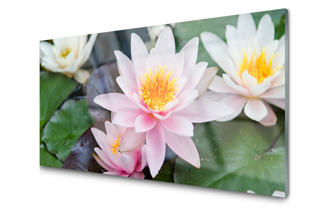 

Panel szklany dekor Kwiaty Roślina 140x70 + Klej