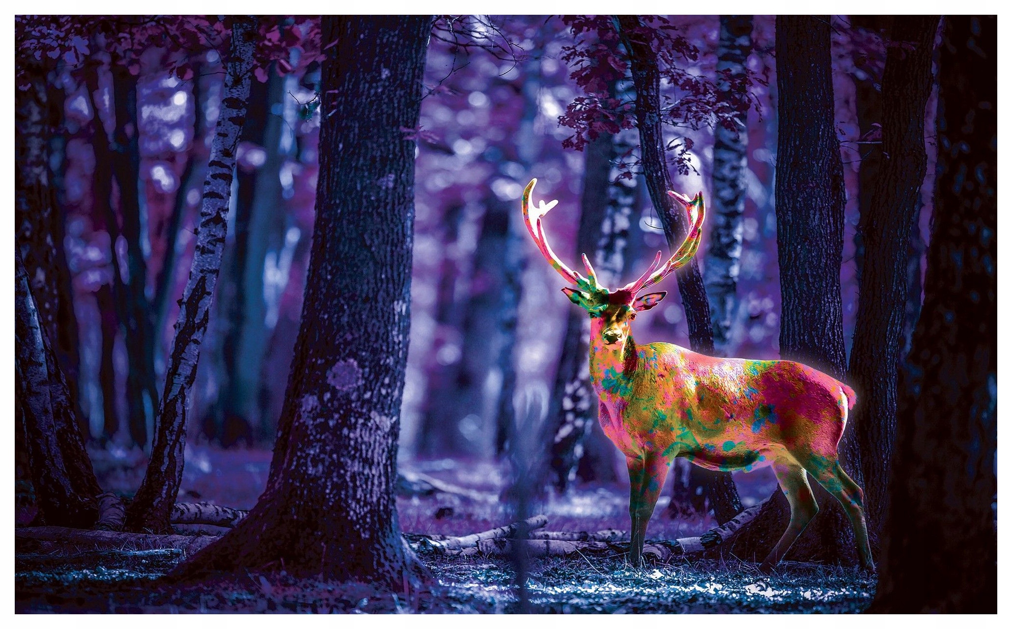 Fototapeta Kouzelný les s jelenem ve fialové noci 250x175 lepidlo