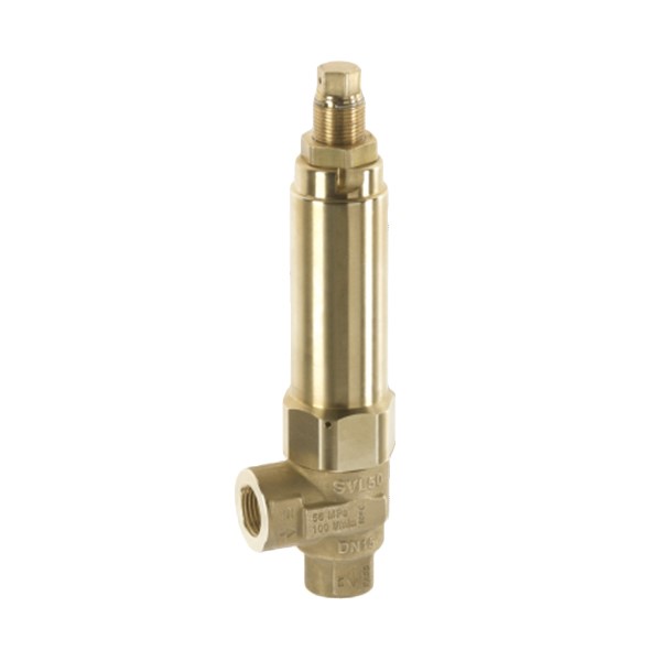 Zawór bezpieczeństwa SVL50 Kranzle Ehrle Comet Cat Interpump Hawk Mazzoni