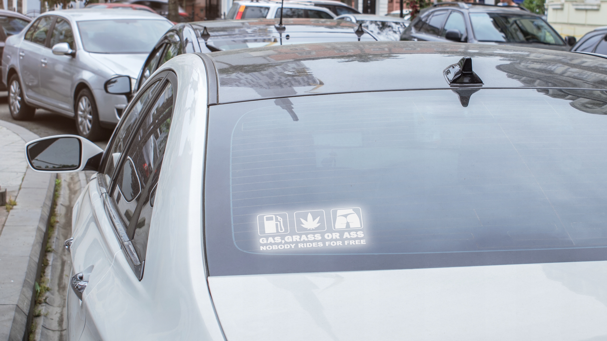 Naklejka GAZ, TRAWA, TYŁEK na samochód na auto - ODBLASKOWA| HOLOGRAM Producent Inny