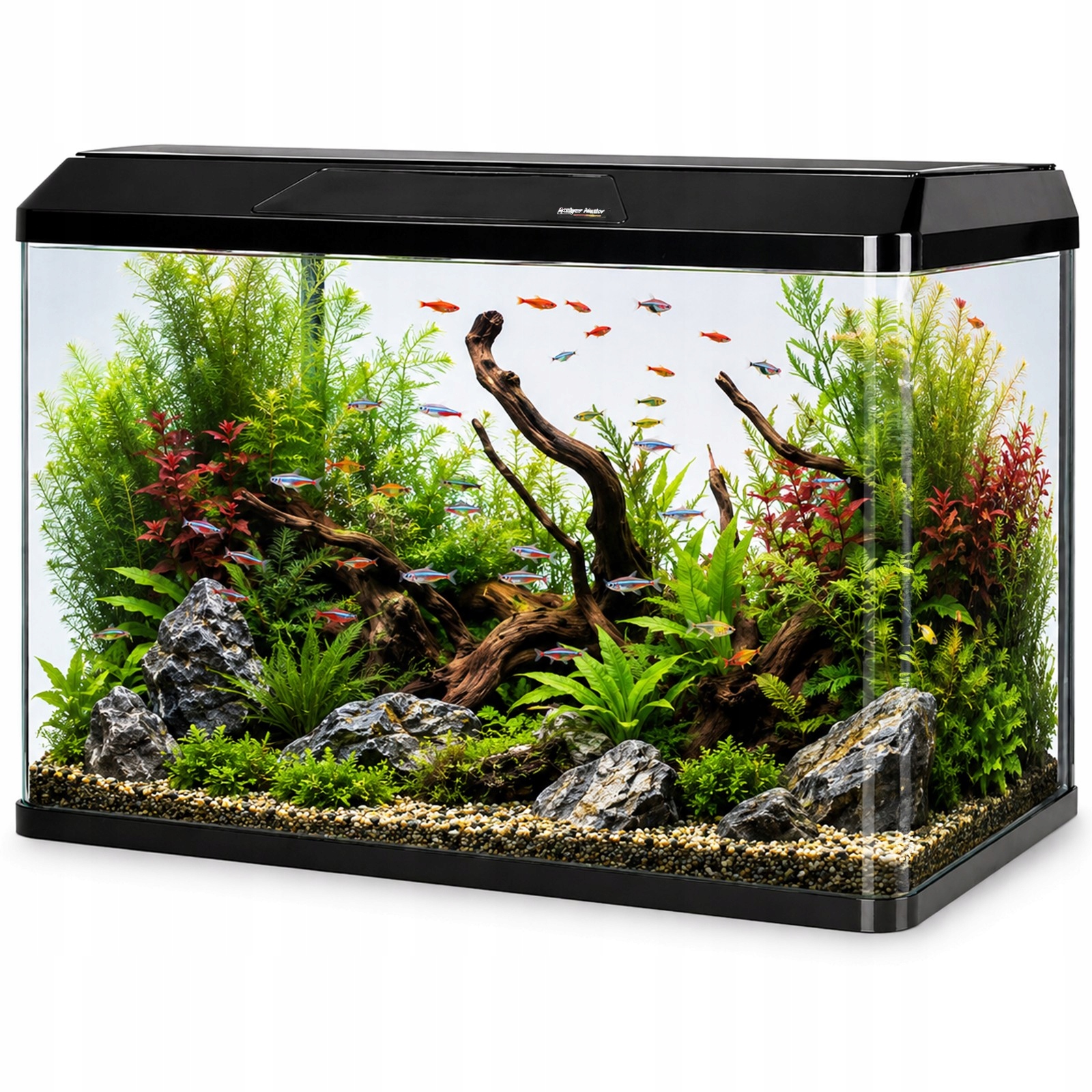 Kompletne Akwarium 60L Panoramiczne Led Wrgb Gięte Szkło Pokrywa 3W1 Led