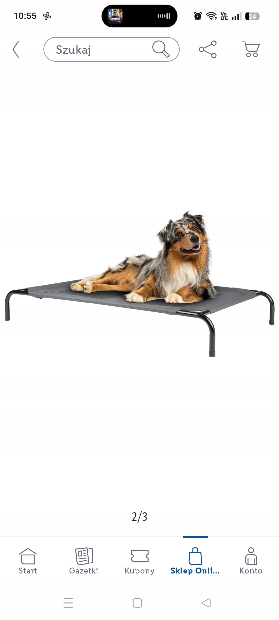 Vyvýšené pelíšek pro psa zoofari