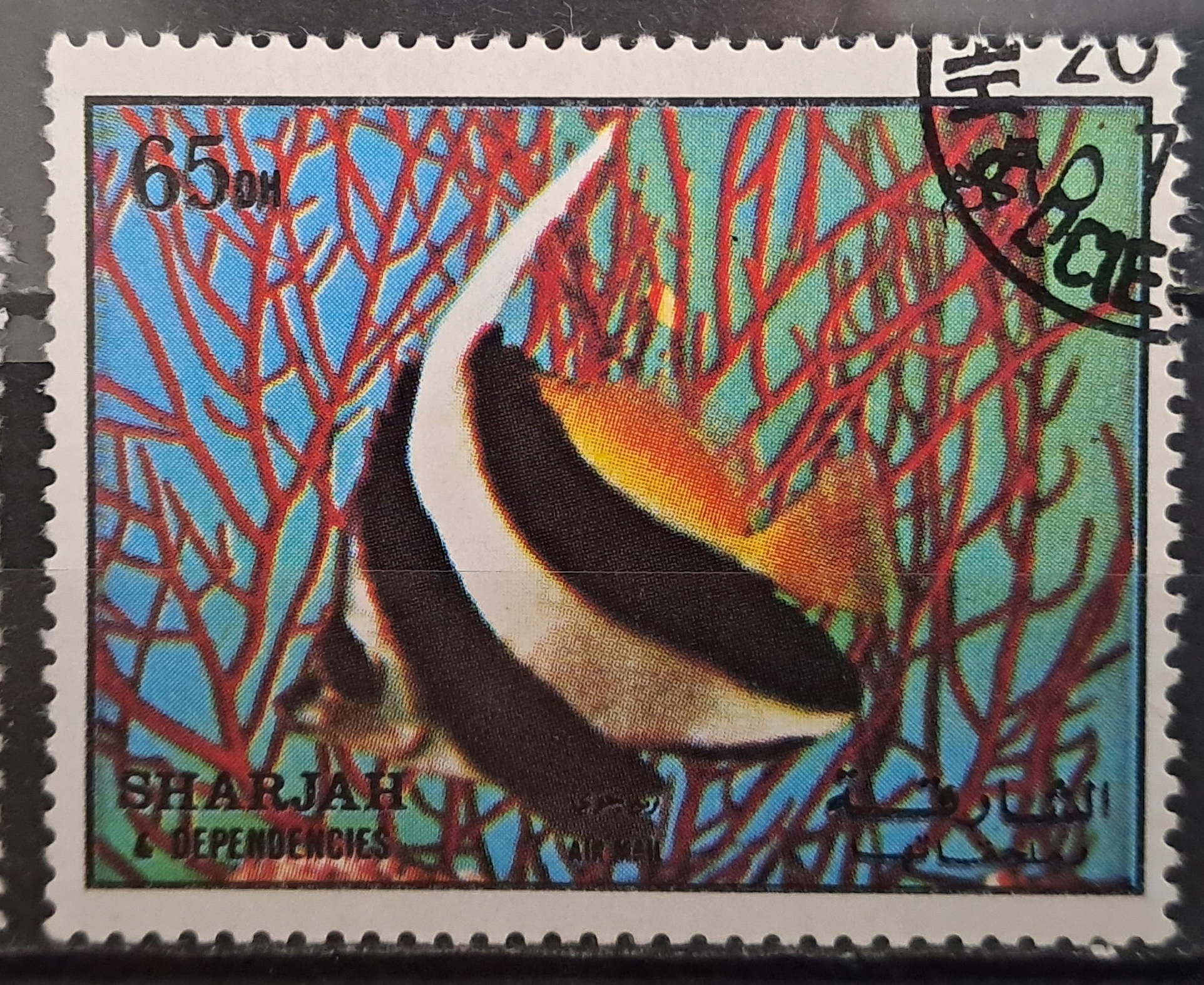 Ryby (**) - luzak - do uzupełnień 13/1