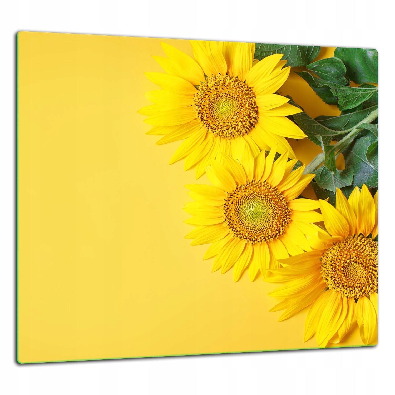 Skleněná Ochranná Deska Panel Lepidlo 65x60 Květiny