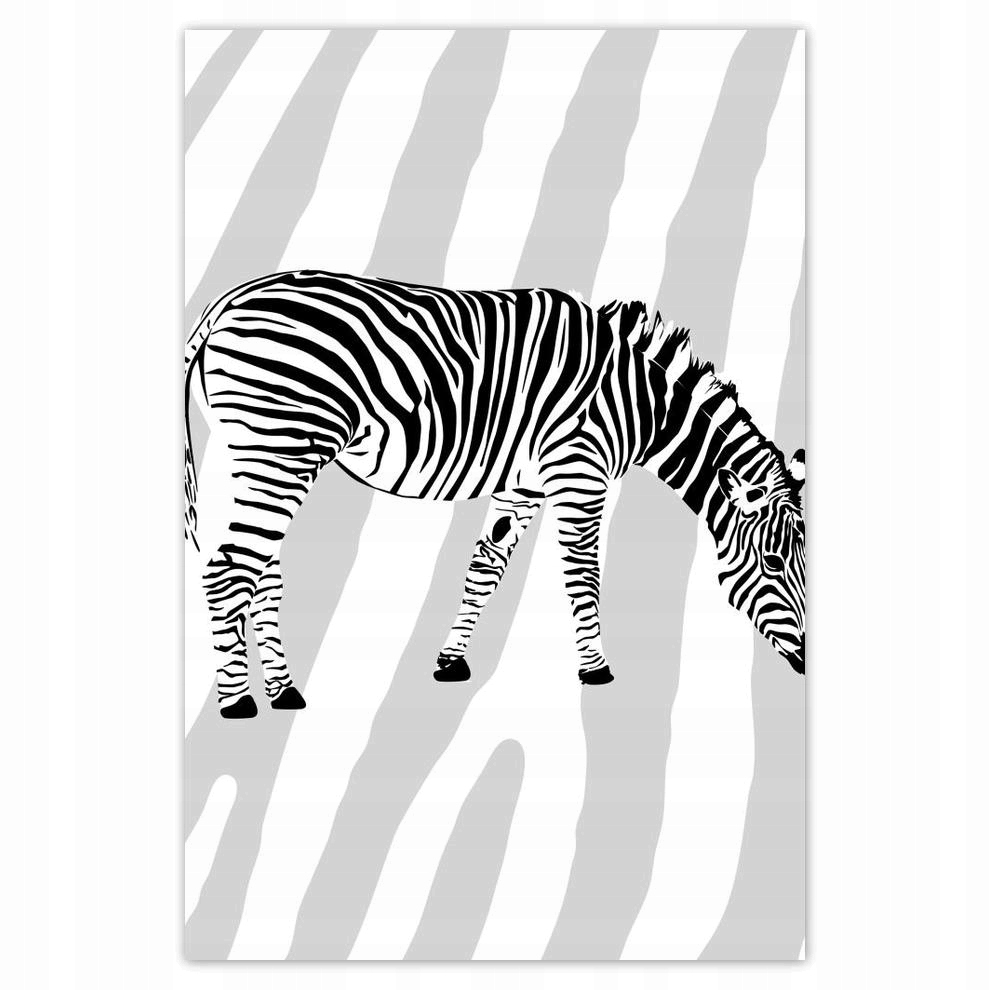 

Plakat 62x93 Zebra Paski