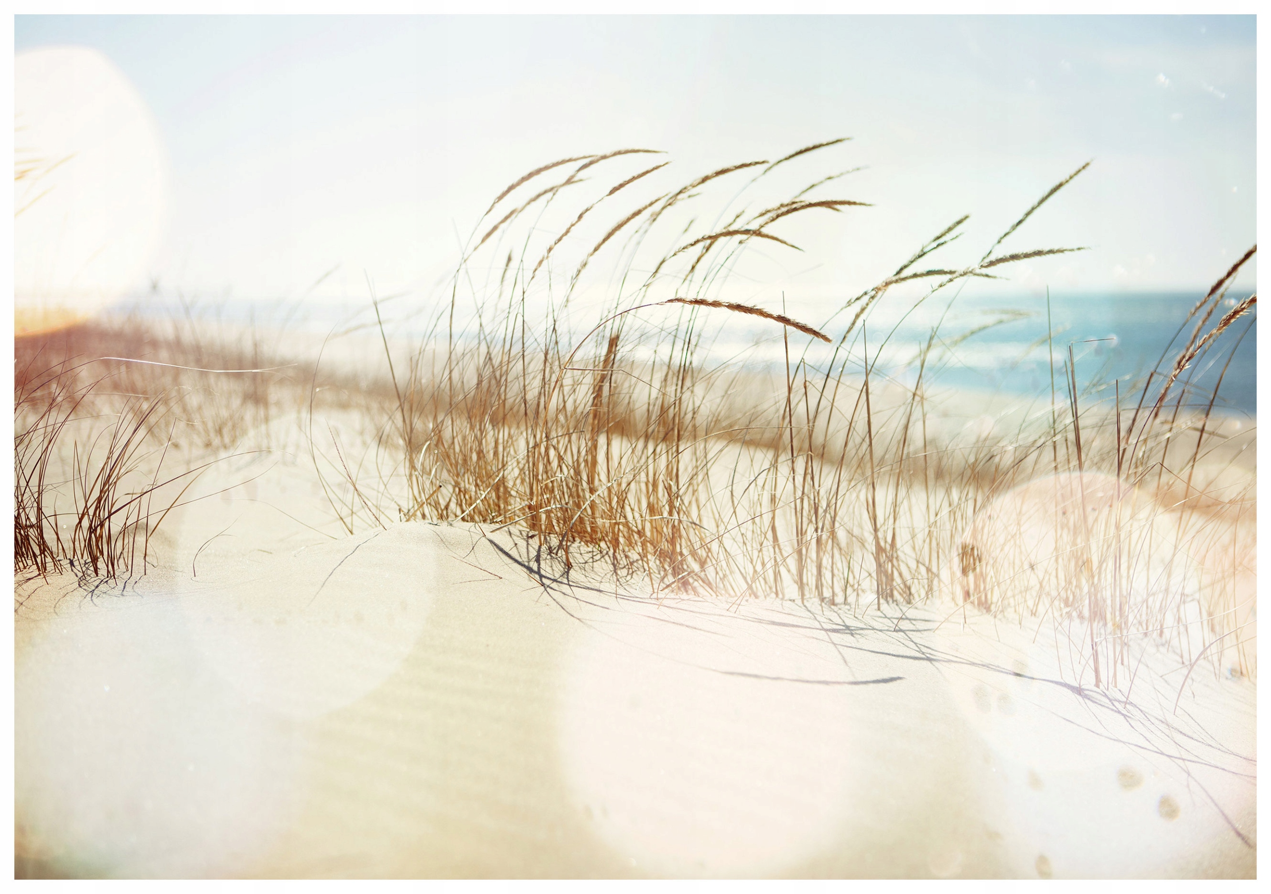 Fototapeta Pláž Diny Příroda Relax Pastely Písek Léto 312x219 lepidlo