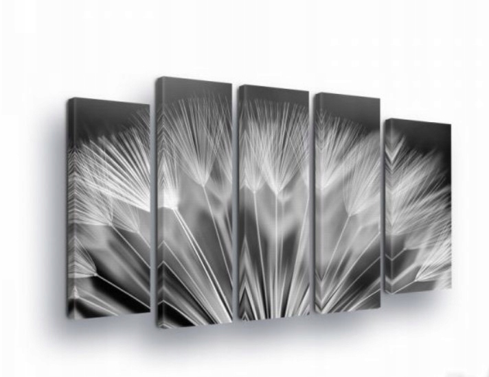 Obraz 150x100 Púpava lekárska semená páperie makro príroda ľahkosť pokoj