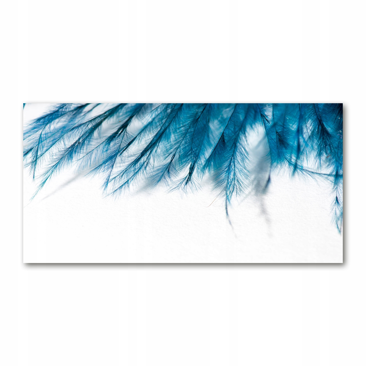 

Foto obraz szkło akryl Niebieskie pióra 120X60 cm